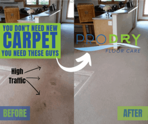 YOU DONT NEED NEW CARPET 4