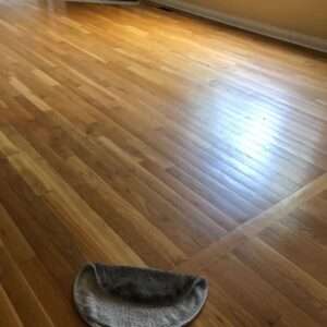 Wood Floor Tile Cleaning Prodry, How To Clean Monroe Park Laminate Flooring