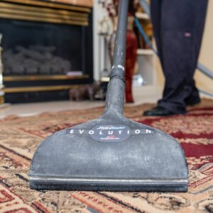 best Carpet Cleaning in West